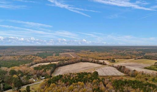 Photo #4 of SOLD property in Off Hwy 561, Halifax, NC 557.1 acres