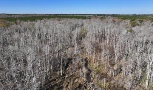Photo #33 of SOLD property in Off Hwy 561, Halifax, NC 557.1 acres