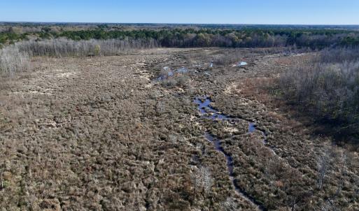 Photo #34 of SOLD property in Off Hwy 561, Halifax, NC 557.1 acres