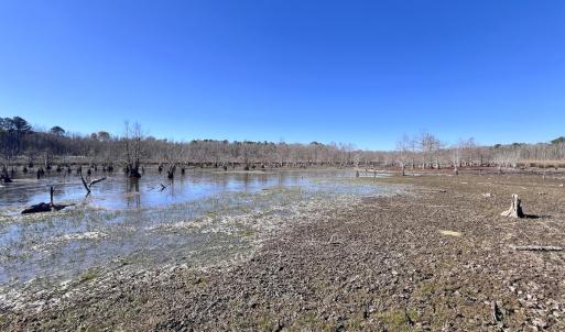 Photo #37 of SOLD property in Off Hwy 561, Halifax, NC 557.1 acres