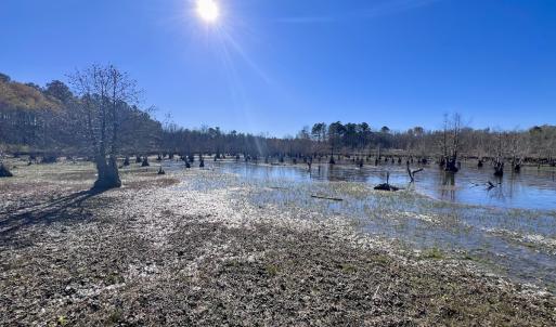 Photo #38 of SOLD property in Off Hwy 561, Halifax, NC 557.1 acres