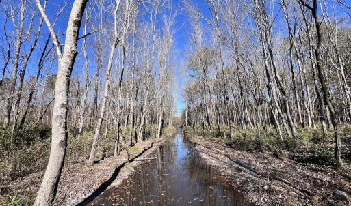 Photo #40 of SOLD property in Off Hwy 561, Halifax, NC 557.1 acres
