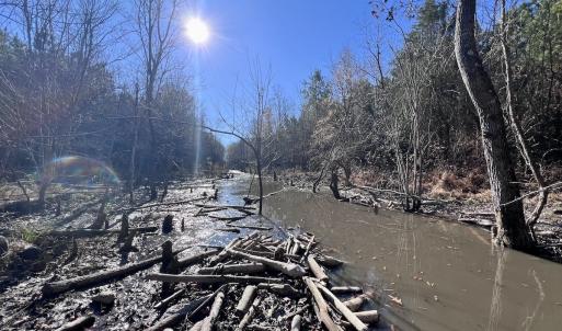 Photo #41 of SOLD property in Off Hwy 561, Halifax, NC 557.1 acres