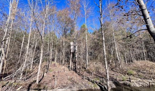 Photo #42 of SOLD property in Off Hwy 561, Halifax, NC 557.1 acres