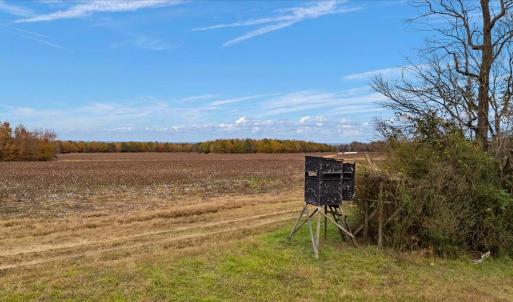 Photo #49 of SOLD property in Off Hwy 561, Halifax, NC 557.1 acres