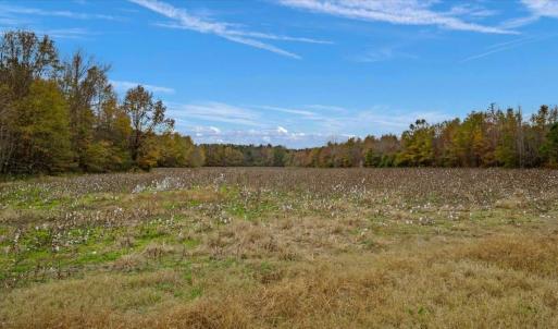 Photo #51 of SOLD property in Off Hwy 561, Halifax, NC 557.1 acres
