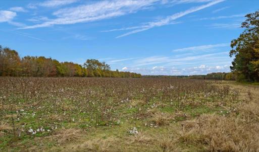 Photo #52 of SOLD property in Off Hwy 561, Halifax, NC 557.1 acres