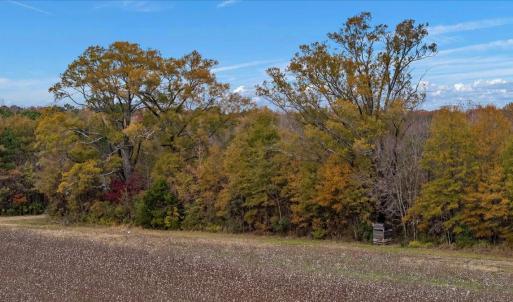 Photo #53 of SOLD property in Off Hwy 561, Halifax, NC 557.1 acres
