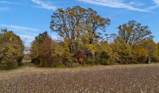 Photo #54 of SOLD property in Off Hwy 561, Halifax, NC 557.1 acres