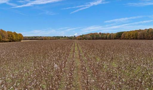 Photo #55 of SOLD property in Off Hwy 561, Halifax, NC 557.1 acres