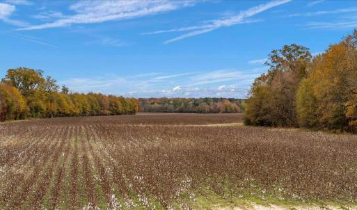 Photo #57 of SOLD property in Off Hwy 561, Halifax, NC 557.1 acres