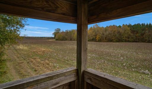 Photo #58 of SOLD property in Off Hwy 561, Halifax, NC 557.1 acres