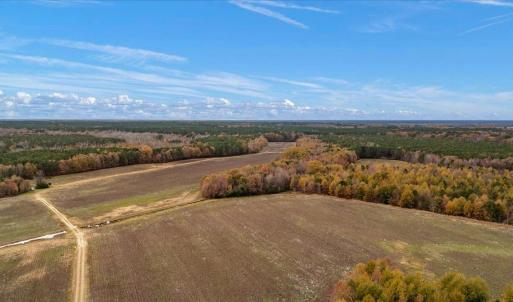 Photo #59 of SOLD property in Off Hwy 561, Halifax, NC 557.1 acres