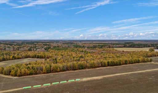 Photo #60 of SOLD property in Off Hwy 561, Halifax, NC 557.1 acres