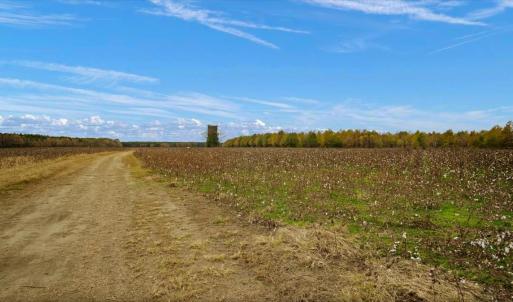 Photo #7 of SOLD property in Off Hwy 561, Halifax, NC 557.1 acres