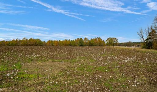 Photo #8 of SOLD property in Off Hwy 561, Halifax, NC 557.1 acres