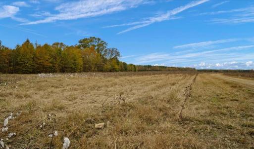 Photo #9 of SOLD property in Off Hwy 561, Halifax, NC 557.1 acres
