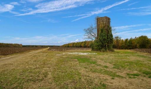 Photo #10 of SOLD property in Off Hwy 561, Halifax, NC 557.1 acres