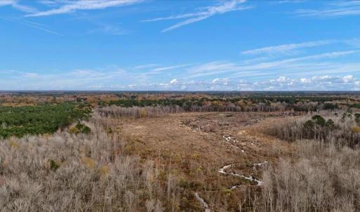 Photo #62 of SOLD property in Off Hwy 561, Halifax, NC 557.1 acres