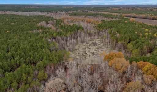 Photo #63 of SOLD property in Off Hwy 561, Halifax, NC 557.1 acres