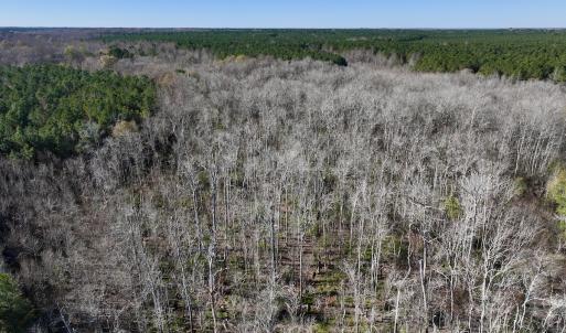 Photo #67 of SOLD property in Off Hwy 561, Halifax, NC 557.1 acres