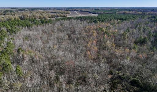 Photo #68 of SOLD property in Off Hwy 561, Halifax, NC 557.1 acres