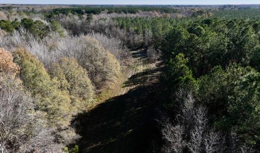 Photo #69 of SOLD property in Off Hwy 561, Halifax, NC 557.1 acres
