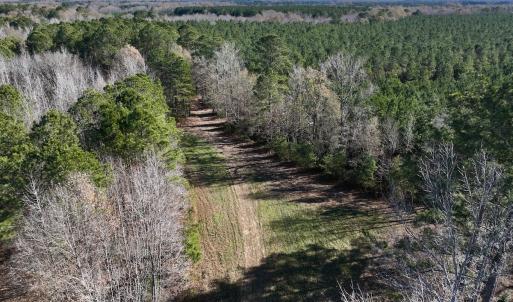 Photo #70 of SOLD property in Off Hwy 561, Halifax, NC 557.1 acres