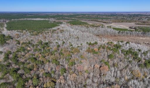 Photo #71 of SOLD property in Off Hwy 561, Halifax, NC 557.1 acres