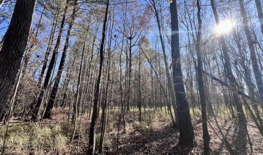 Photo #73 of SOLD property in Off Hwy 561, Halifax, NC 557.1 acres