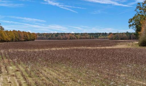 Photo #77 of SOLD property in Off Hwy 561, Halifax, NC 557.1 acres