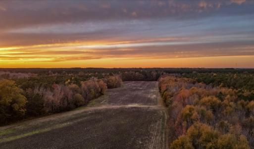 Photo #79 of SOLD property in Off Hwy 561, Halifax, NC 557.1 acres