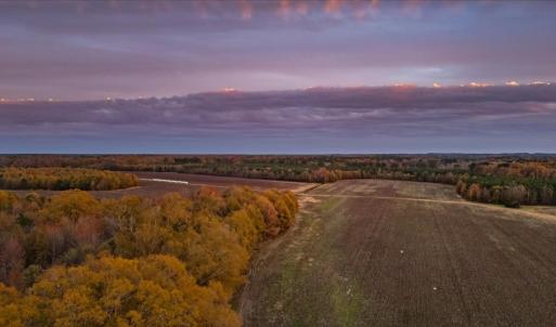 Photo #80 of SOLD property in Off Hwy 561, Halifax, NC 557.1 acres