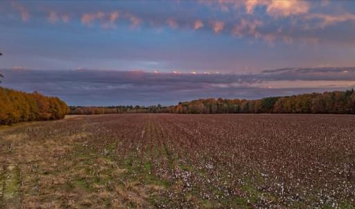 Photo #81 of SOLD property in Off Hwy 561, Halifax, NC 557.1 acres