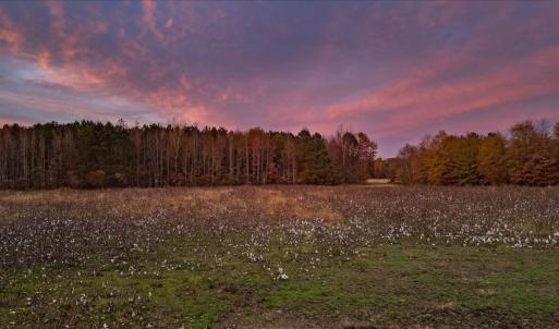 Photo #82 of SOLD property in Off Hwy 561, Halifax, NC 557.1 acres