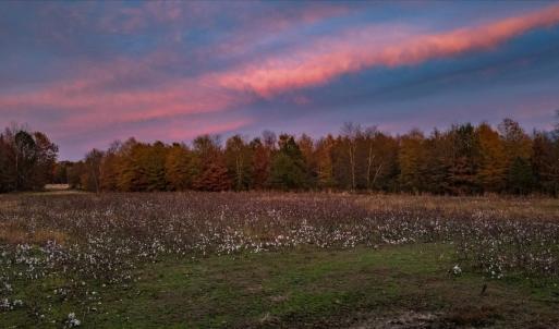 Photo #83 of SOLD property in Off Hwy 561, Halifax, NC 557.1 acres