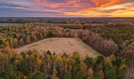 Photo #84 of SOLD property in Off Hwy 561, Halifax, NC 557.1 acres