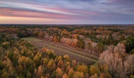 Photo #85 of SOLD property in Off Hwy 561, Halifax, NC 557.1 acres
