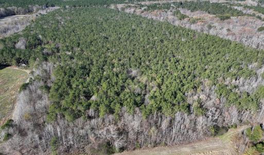 Photo #88 of SOLD property in Off Hwy 561, Halifax, NC 557.1 acres