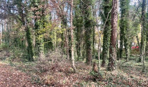 Photo #11 of Off Mid Pines Dr, Winston Salem, NC 0.5 acres