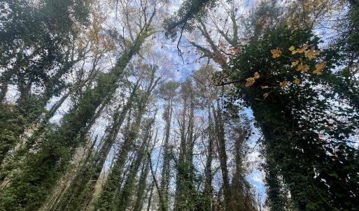 Photo #5 of Off Mid Pines Dr, Winston Salem, NC 0.5 acres