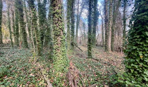 Photo #22 of Off Mid Pines Dr, Winston Salem, NC 0.5 acres