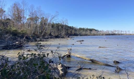 Photo #1 of Off Harvest Point Road, Elizabeth City, NC 170.0 acres