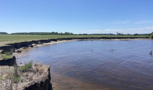 Photo #2 of Off Harvest Point Road, Elizabeth City, NC 170.0 acres