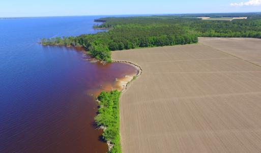 Photo #9 of Off Harvest Point Road, Elizabeth City, NC 170.0 acres
