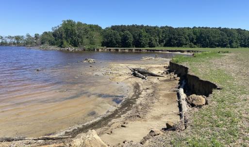 Photo #19 of Off Harvest Point Road, Elizabeth City, NC 170.0 acres