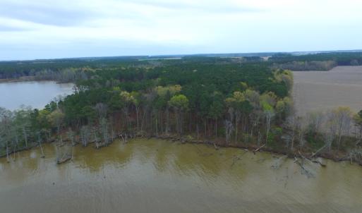 Photo #11 of Off Harvest Point Road, Elizabeth City, NC 170.0 acres