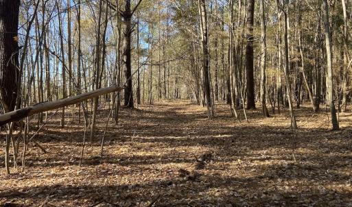 Photo #10 of Off Harvest Point Road, Elizabeth City, NC 170.0 acres