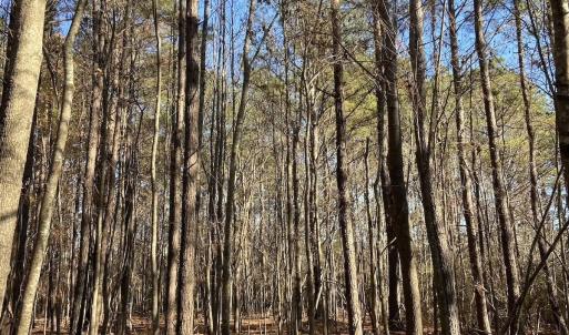 Photo #20 of Off Harvest Point Road, Elizabeth City, NC 170.0 acres