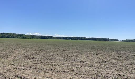 Photo #13 of Off Harvest Point Road, Elizabeth City, NC 170.0 acres
